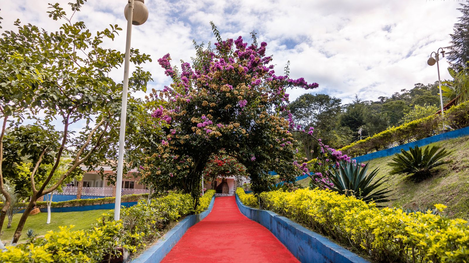 Ache Clínica de Recuperação em Itu- SP